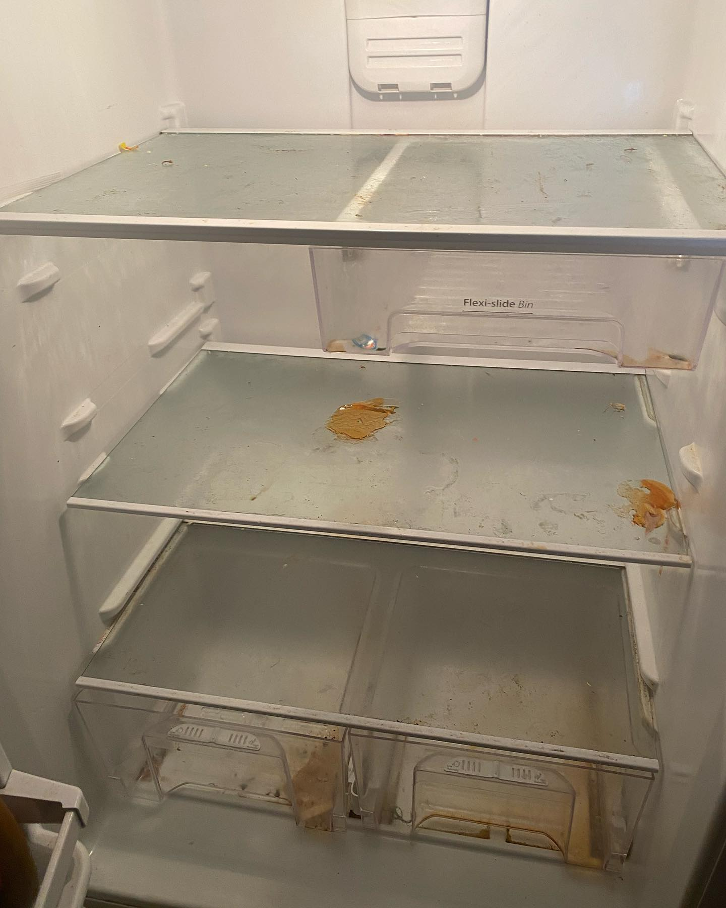 Fridge Deep Clean - Before